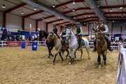 Abwechslungsreiches Showprogramm während der Reitsportmesse Gießen